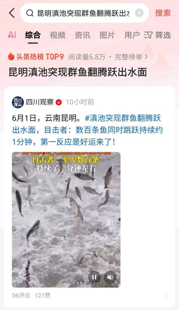 豪极资本 昆明滇池群鱼跃出水面 持续约1分钟 壮观景象引热议
