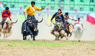 万利配资  雪域长歌谱新曲